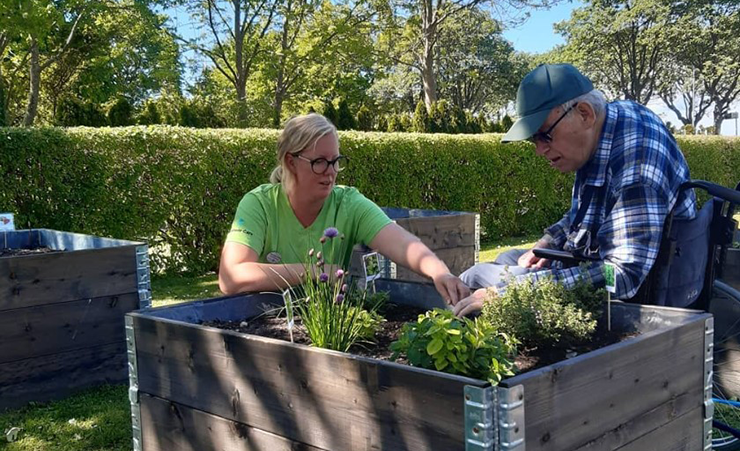 Villa Magnolia dagverksamhet